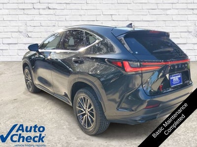 2024 Lexus NX 250 NX 250