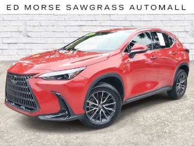 2024 Lexus NX 250 NX 250