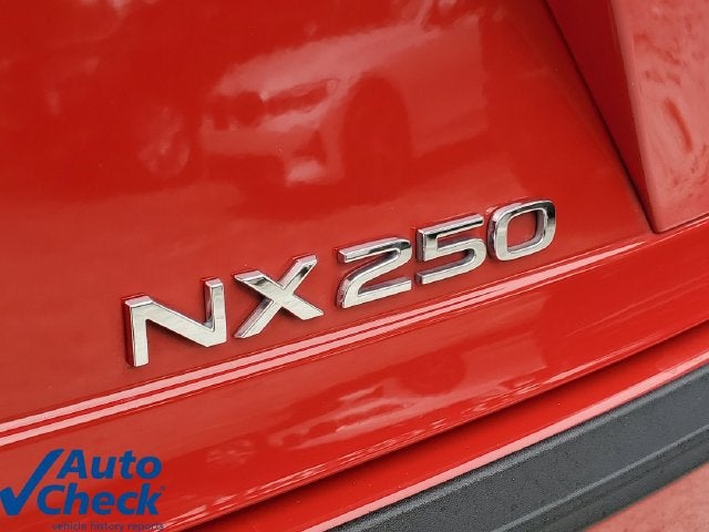 2024 Lexus NX 250 NX 250