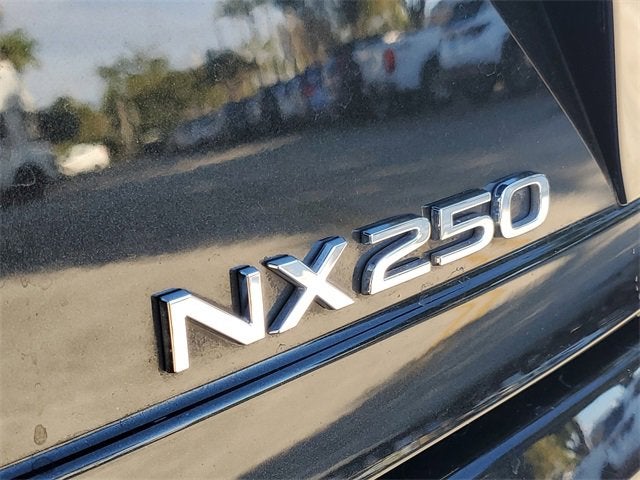 2024 Lexus NX NX 250 Premium