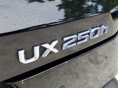 2019 Lexus UX UX 250h